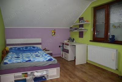 Casă cu 4 camere cu Teren 3300 Mp în Uileacu de Munte - 2