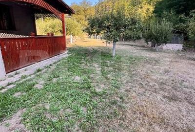 Casă cu 3 camere cu Teren 1500 Mp în Toplița