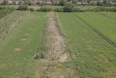 Teren de 3000 mp, în Cuzdrioara