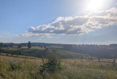 Teren de 3300 mp, în Măguri - 7