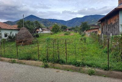 Teren de 36000 mp, în Prundu Bârgăului - 2