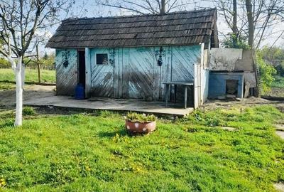 Casă individuală cu 2 camere cu Canalizare în Ciocaia - 7