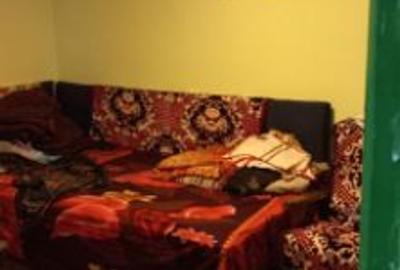Casă cu 5 camere cu Teren 3670 Mp în Strejeștii de Sus - 2