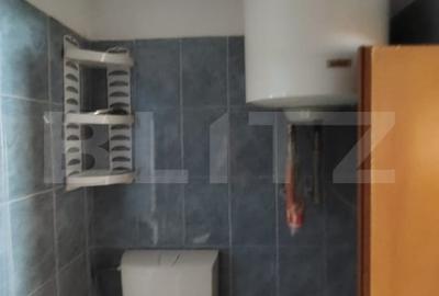 Casă individuală cu 2 camere cu Canalizare în Suceagu - 13