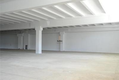 Spațiu industrial, de 1,000 mp, în Central - 1