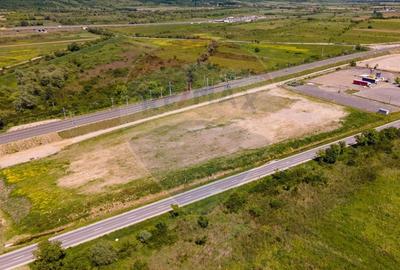 Teren Construcții intravilan de 21536 mp, în Ilia - 3