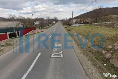 Teren de 4007 mp, în Boșoteni - 3
