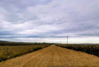 Teren de 2400 mp, în Șura Mică - 2
