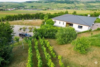 Casă individuală cu 5 camere cu Canalizare în Corușu - 12