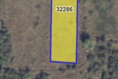 Teren de 3000 mp, în Vulturu - 1