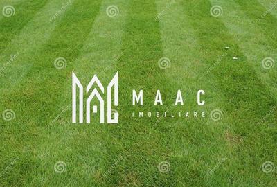 Spațiu comercial, în Șura Mare - 2
