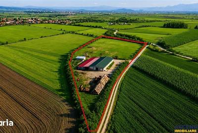 Teren de 18000 mp, în Feldioara - 2