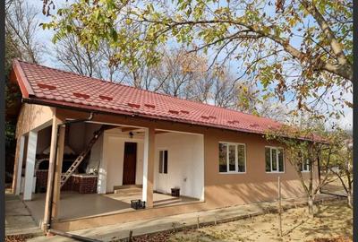 Casă cu 3 camere cu Teren 500 Mp în Ciocănești - 8