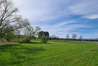 Teren agricol extravilan de 2100 mp, în Reci - 2
