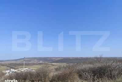 Teren de 10000 mp, în Moara de Vânt