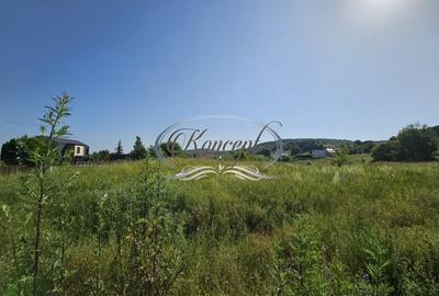 Teren Construcții intravilan de 2000 mp, în Sălicea - 3