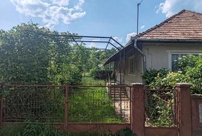 Casă cu 3 camere cu Teren 700 Mp în Românași - 4