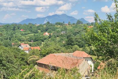 Teren agricol intravilan de 7805 mp, în Sohodol - 4