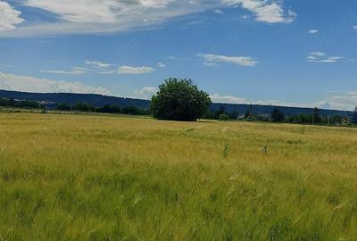 Teren de 4730 mp, în Boldești - 10