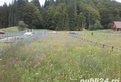 Teren de 1000 mp, în Cheia - 2