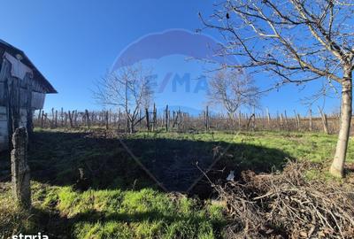 Casă cu 4 camere cu Teren 4700 Mp în Parincea