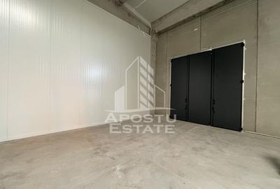 Spațiu industrial, de 523 mp, în Sânandrei - 3