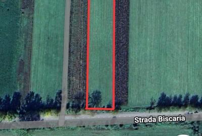 Teren de 3500 mp, în Simeria - 3