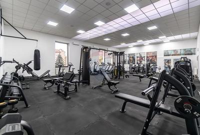 Spațiu comercial, de 420 mp, în Colonia Bod - 4