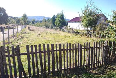 Teren de 5400 mp, în Râșca - 3