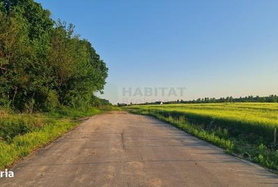 Teren de 8569 mp, în Ciolpani - 8