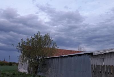 Teren agricol intravilan de 5 mp, în Ciuperceni (Cosmești) - 16
