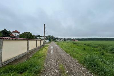 Teren Construcții intravilan de 9928 mp, în Păulești - 7