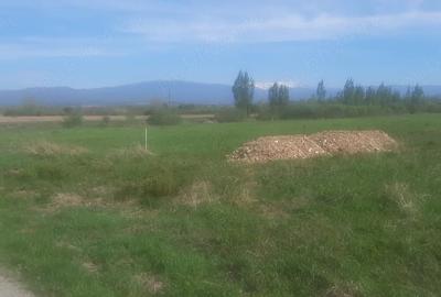 Teren de 4400 mp, în Central