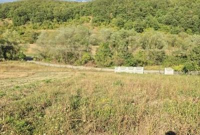 Teren de 2600 mp, în Cârjiți