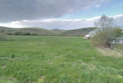 Teren de 4653 mp, în Căpușu Mare - 1