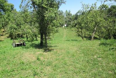 Teren de 4000 mp, în Drăgăneasa - 1