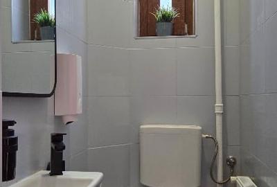 Casă individuală cu 16 camere cu Canalizare în Pache Protopopescu - 16