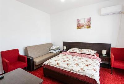 Garsonieră decomandată în Băile Felix - 2
