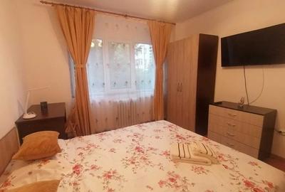 Apartament cu 2 camere semidecomandat, mobilat în Podu Roș