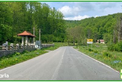 Teren de 394200 mp, în Măneciu - 3