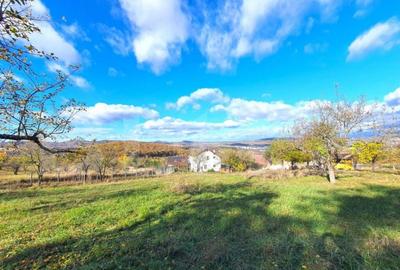 Teren intravilan 38 ari, cartierul Raal - 1