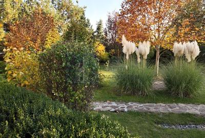 Casă cu 7 camere în Snagov - 4