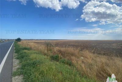 Teren extravilan in Mihail Kogalniceanu, Constanta - 2