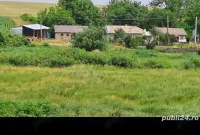 Casa de vanzare in Recia Verbia , Dorohoi dimachemi jud Botosani - 3