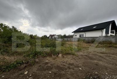 Teren intravilan Carcea Pelendava, 1000 mp cu autoriza?ie d - 6