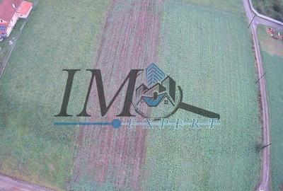 Teren Construcții intravilan de 1400 mp, în Vințu de Jos - 2