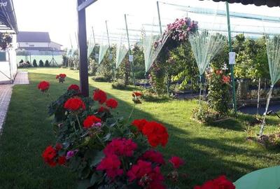 Vand teren 2000mp-Livada-Arad. - 1