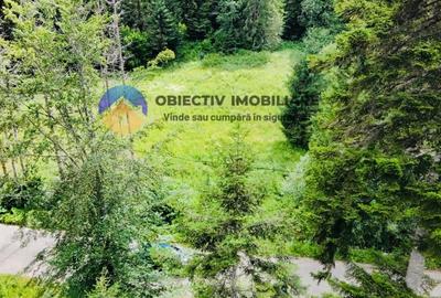 Teren Construcții intravilan de 14114 mp, în Schitu Tarcău - 6