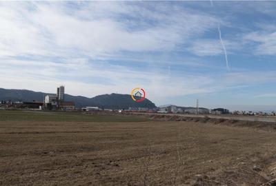 Teren pentru constructii industriale 4.800 mp - 5