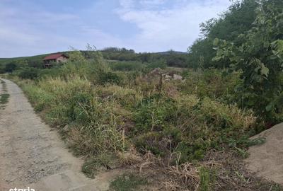 Teren de 2200 mp, în Ghioroc - 2